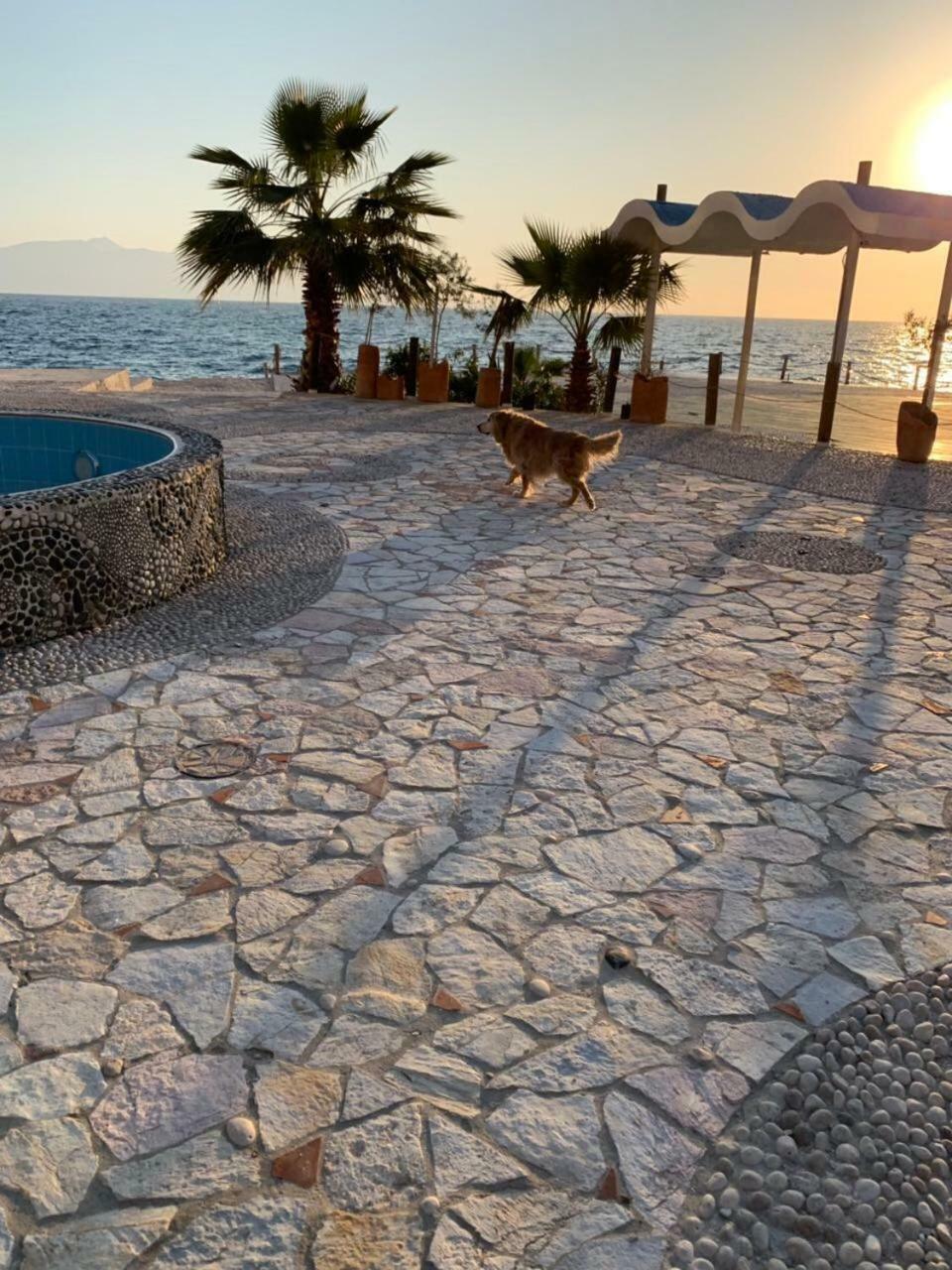 Bougainville Bay Resort - Villa 11 Saranda Extérieur photo